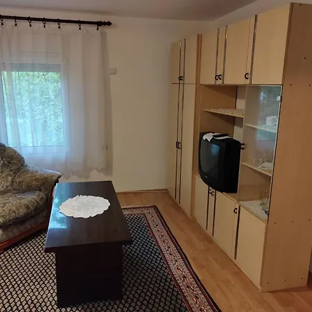 아파트 Petrovic *