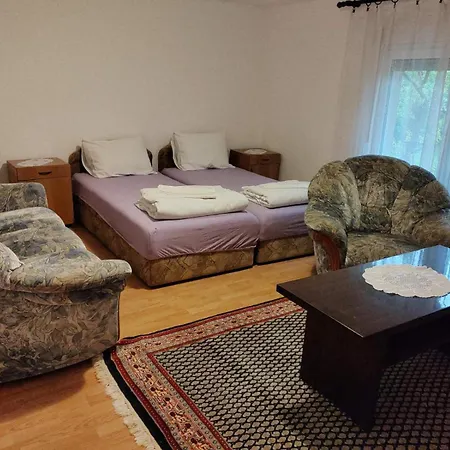 Petrovic 소코 반자