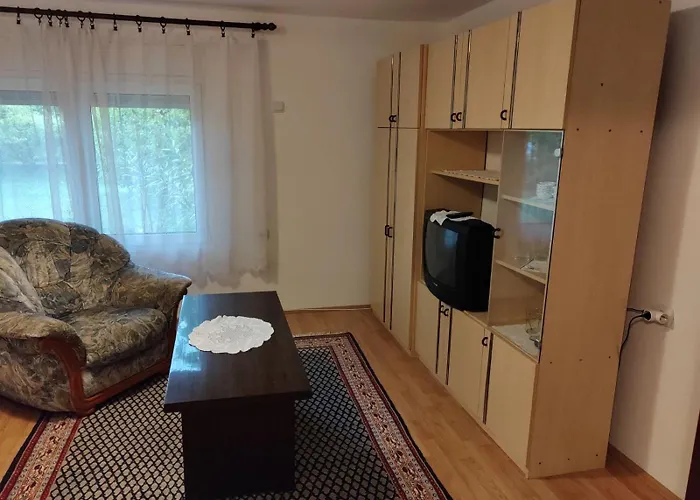 아파트 Petrovic *