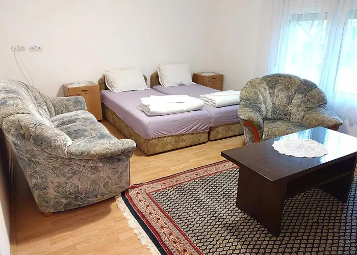 아파트 Petrovic *