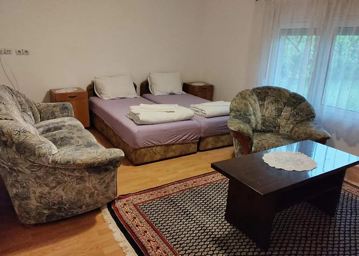 Petrovic 소코 반자